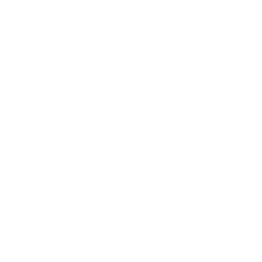 Cruise Port Transfers